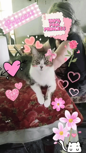 Tuni surounded by pink hearts